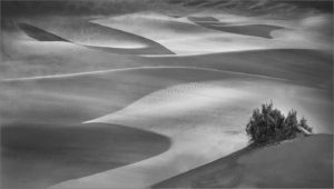 mist-over-the-dunes-by-geoffrey-lauder